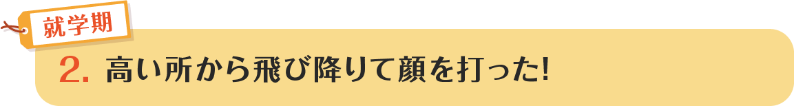2.高い所から飛び降りて顔を打った!