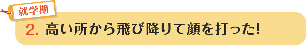 2.高い所から飛び降りて顔を打った!
