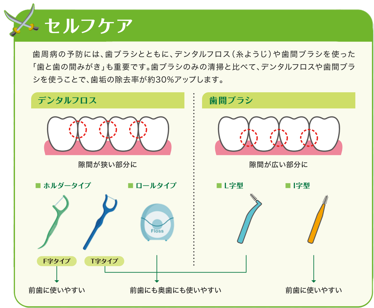 セルフケア：デンタルフロス、歯間ブラシ